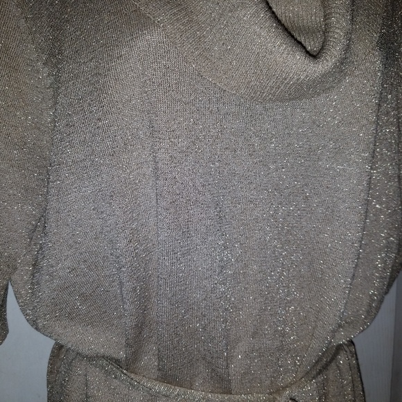 Josephine Studio Cowl Neck Silk Metallic Blouse - Picture 5 of 9